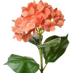 Clayre & Eef Kunstbloem Hortensia Oranje Kunststof