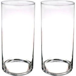 Bellatio Decorations Bloemenvaas basic - Set van 2x stuks - glas - H60 x D19 cm - Vazen