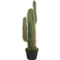 Beliani CACTUS - Kunstplant-Groen-Synthetisch materiaal