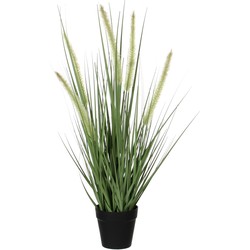 Mica Decorations Dogtail Gras Kunstplant - H53 x Ø30 cm - Groen