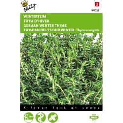 2 stuks - Tijm Echte Winter Thymus vulgaris