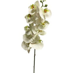 Bellatio Design Kunstbloem Orchidee Bora - wit - 108 cm - Kunstbloemen