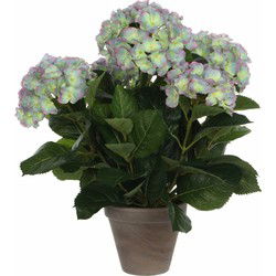 Mica Decorations Kunstplant Hortensia - groen/paars - 45 cm - in pot - Kunstplanten