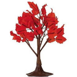 Maple tree medium