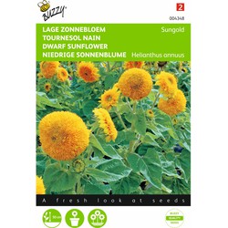 2 stuks - Helianthus Annuus Sungold Dubbelbl. Laag