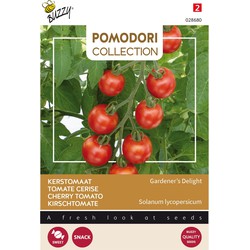 Pomodori Gardeners Delight (Cherry)