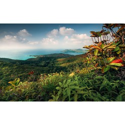 Sanders & Sanders fotobehang tropisch landschap groen en blauw - 450 x 280 cm - 612630