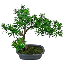 Hoyz Greenery - Kunstplant Bonsai Podocarpus 40 cm