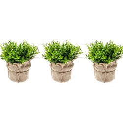 Set van 3x stuks groene kunstplant tuinkers kruiden plant in pot 16cm - Kunstplanten