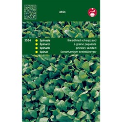 5 stuks - Saatgut Spinat Breitblattspinat Sommer 100g - Tuinplus