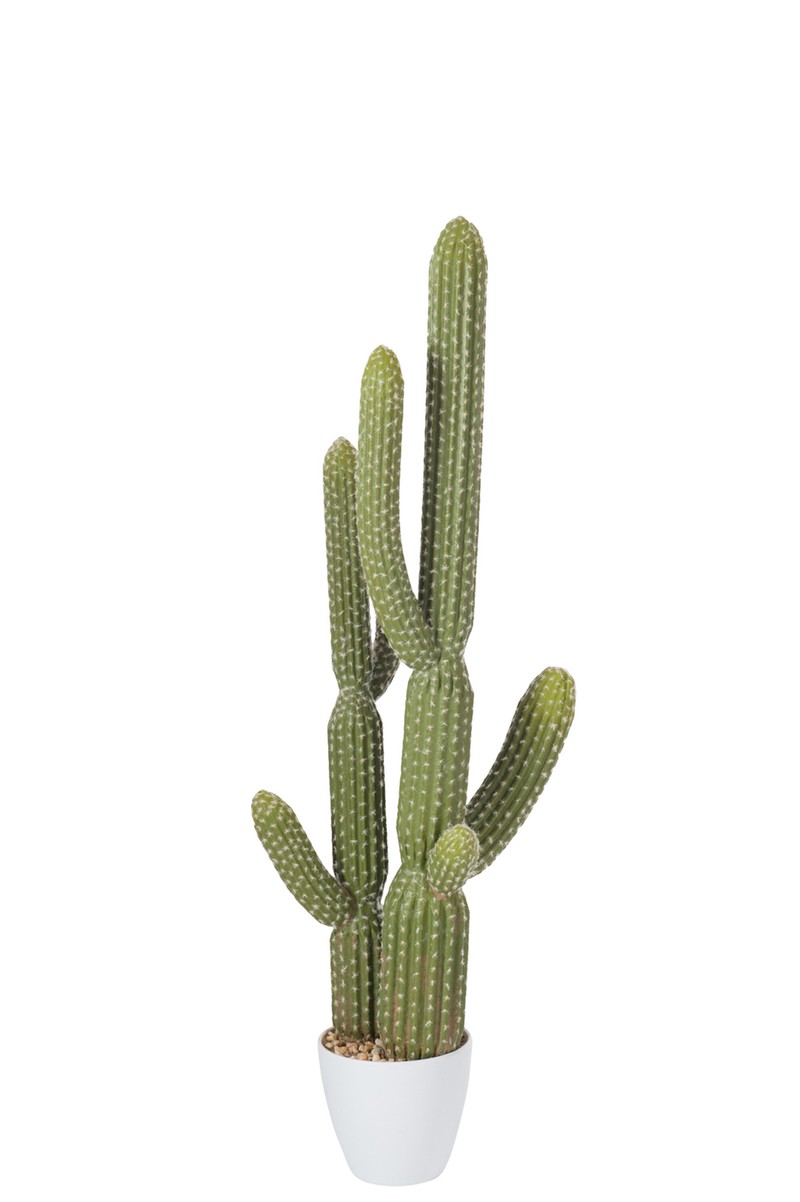 Cactus+pot Plastic Groen/melamine Wit Large - 