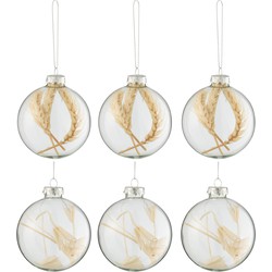 J-line - Doos Van 6 Kerstballen Gedroogde Takjes Beige Glas Transparant Small - 7.5x7.5x10cm