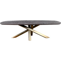 PTMD Alore black gold diningtable oval 280 cm