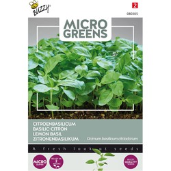 5 stuks - Microgreens Citroenbasilicum