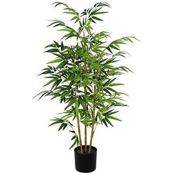 Bamboe groen 120 cm