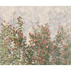 Komar fotobehang Wall Roses groen en roze - 300 x 250 cm - 611209