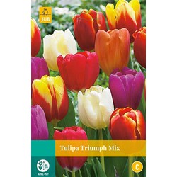 3 stuks - Tulipa Triumph mix 8 bollen