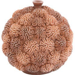 Light & Living - Deco box+deksel CORAL - Ø17x16cm - Bruin