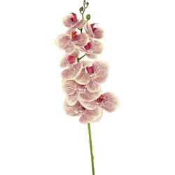 Greenmoods Kunst Orchidee Real Touch Delue - Phalaenopsis - Nep plant - 1 Stuk - 105cm - Fuchsia/Wit