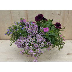 Zinken bak zomerbloeiers roze/paars dia. 30 cm