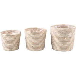 PTMD Mand Amer - 20x18x20 cm - Maisblad - Naturel - Set van 3