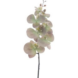 Kunstbloem phalaenopsis green, 90 cm