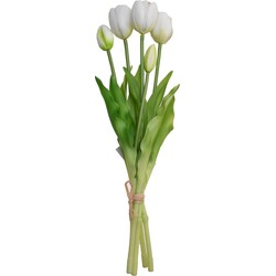 Boeket 5 Tulpen Wit