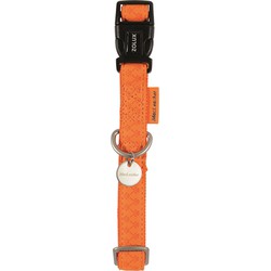 MACLEATHER HALSBAND ORANJE 20 MMX35-50 CM