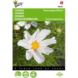 5 stuks - Cosmos Hummingbird white - Buzzy