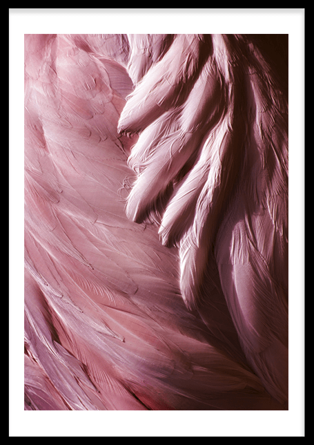 Flamingo Feathers (70x100cm) - 