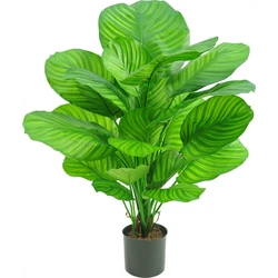 Hoyz Greenery - Kunstplant Calathea 72 cm