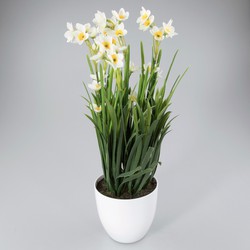 Künstliche Pflanze im Plastiktopf Narcissus weiß - Oosterik Home