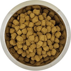 YOURDOG KONINGSPOEDEL SENIOR 12 KG