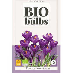 Crocus Flower Record - bio