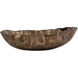 PTMD Schaal Conill - 58x35x15 cm - Aluminium - Goud