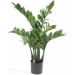 Zamioculcas kunstpalmen 70 cm - Kunstplanten