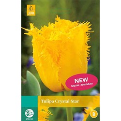 5 stuks - Tulipa Crystal Star 5 bollen