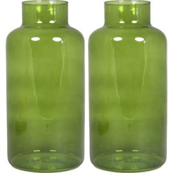 Set van 2x bloemenvazen - groen/transparant glas - H30 x D15 cm - Vazen