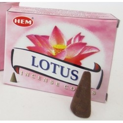 Wierook kegeltjes Lotus geur - 10x stuks - kleine kegeltjes geursticks - Wierookstokjes