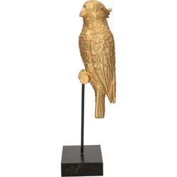 Chaks Dierenbeeld papegaai vogel op stok - goud - 31 x 12 cm - Decoratie artikelen - Beeldjes