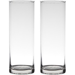 Set van 2x stuks transparante home-basics cylinder vorm vaas/vazen van glas 24 x 9 cm - Vazen