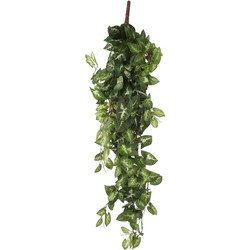 Mica Decorations Fittonia Kunst Hangplant - L15 x B30 x H80 cm - Groen