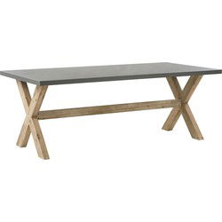OLBIA  - Tuintafel - Grijs - 100 x 200 cm - Vezelcement
