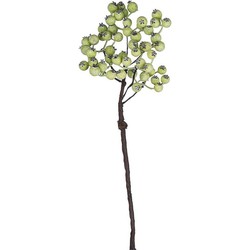 Branche de Baies - Vert clair / 35 cm