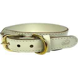 SAZZZ HALSBAND HOND PIONEER CLASSIC LEER CREME 37-45X3,5 CM