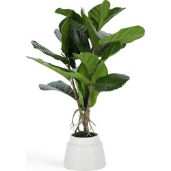 Kave Home - Kunstplant Lyrata 60 cm