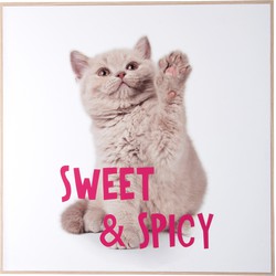 Present Time - Wall Art Kitten Sweet & Spicy - Multicolor