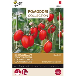 3 stuks - Pomodori ravello f1 (cocktailtomaat)