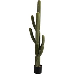 J-line - Cactus+pot Groen/plastiek Zwart Extra Large - 35.5x20.5x172cm