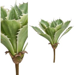 PTMD Succulent Aloe Vera Pluk Kunstplant - 19 x 20 x 31 cm - Groen